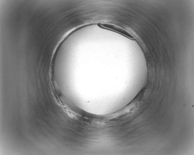 X0000065250956200603172201