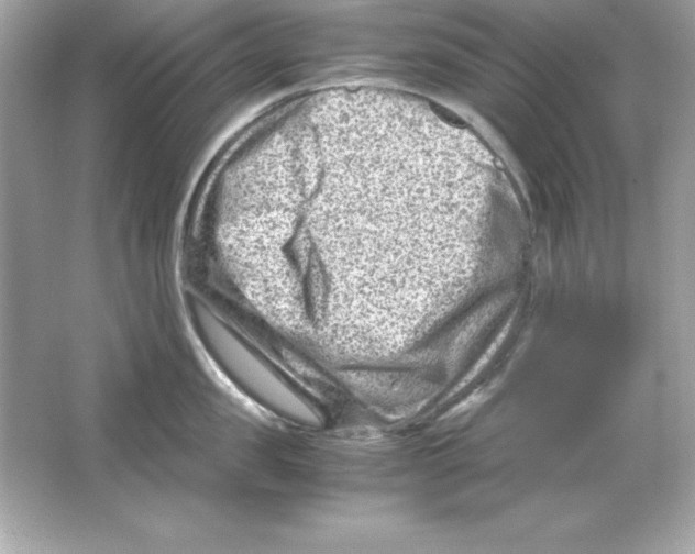 X0000065250957200603172201