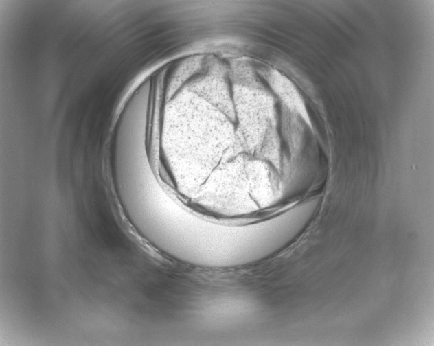 X0000065250960200603172201