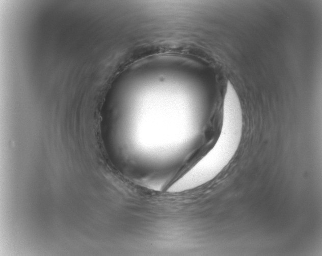 X0000065250961200603172200