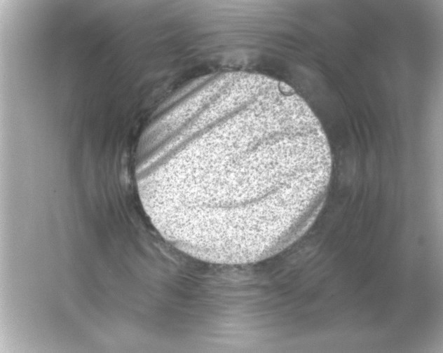 X0000065250962200603172200