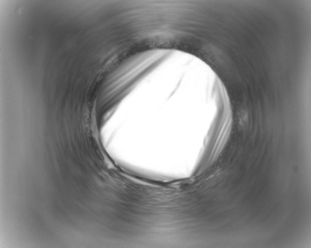 X0000065250964200603172200