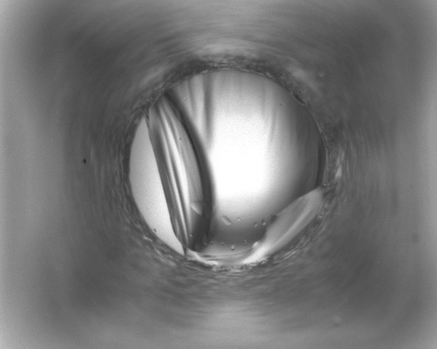 X0000065250965200603172200