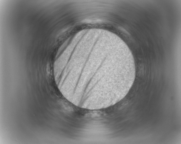 X0000065250966200603172200