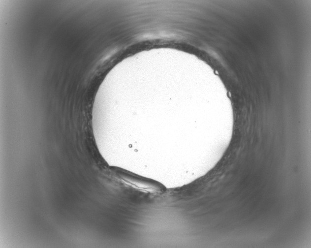 X0000065250967200603172200