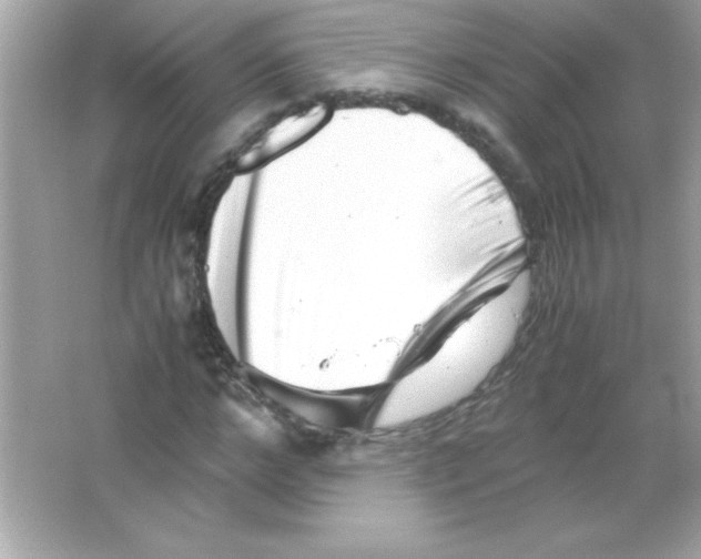 X0000065250968200603172200