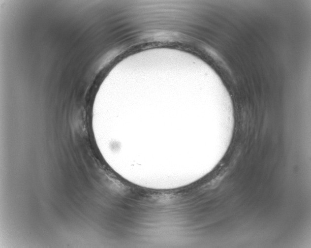 X0000065250970200603172200