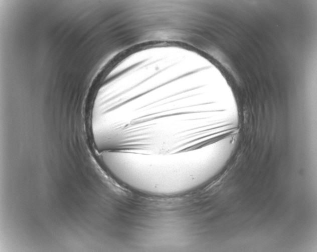 X0000065250972200603172200