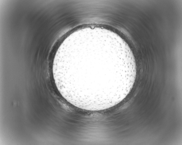 X0000065250974200603172200