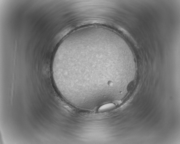 X0000065250977200603172200