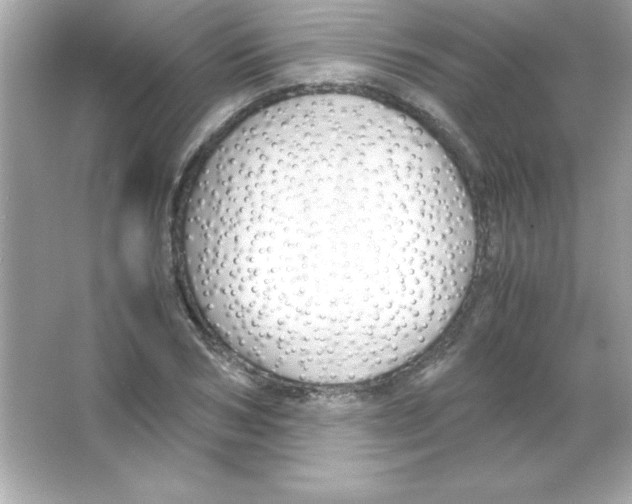 X0000065250978200603172200