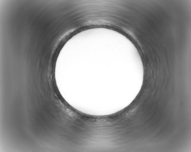 X0000065250979200603172200