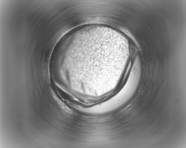 X0000065250980200603172200