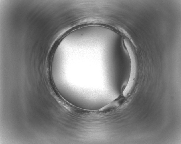 X0000065250981200603172200