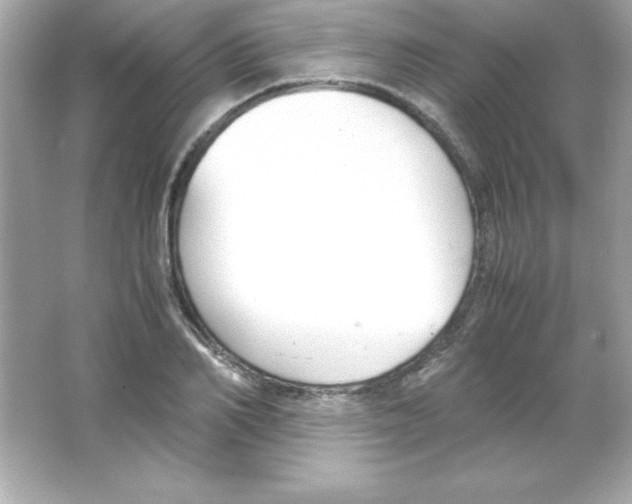 X0000065250982200603172200