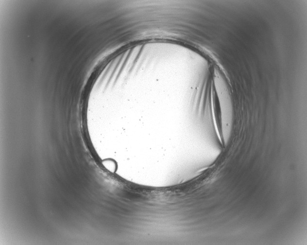 X0000065250987200603172159