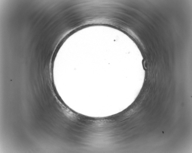 X0000065250988200603172159