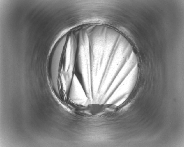 X0000065250989200603172159