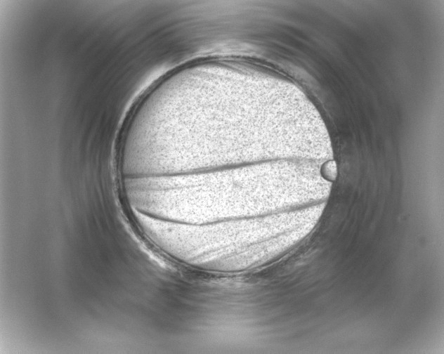 X0000065250990200603172159