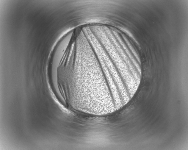 X0000065250991200603172159