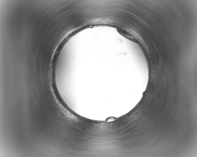 X0000065250992200603172159