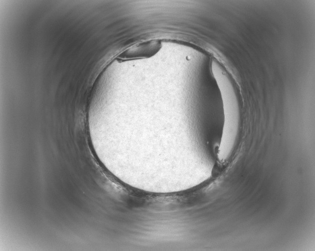 X0000065250993200603172159