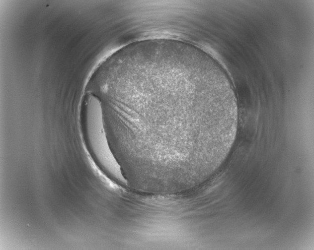 X0000065250995200603172159