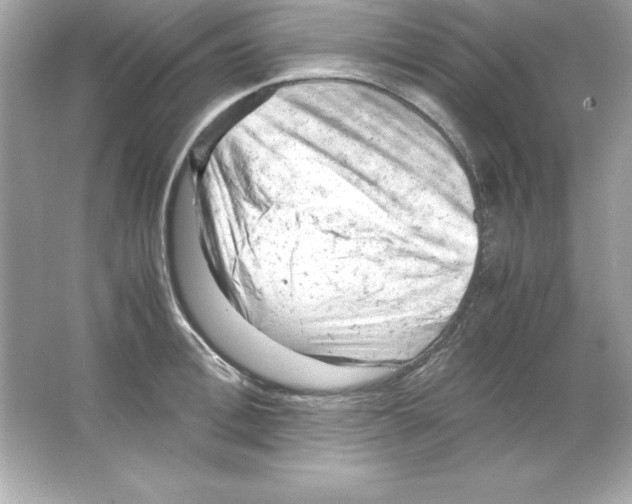 X0000065250996200603172159