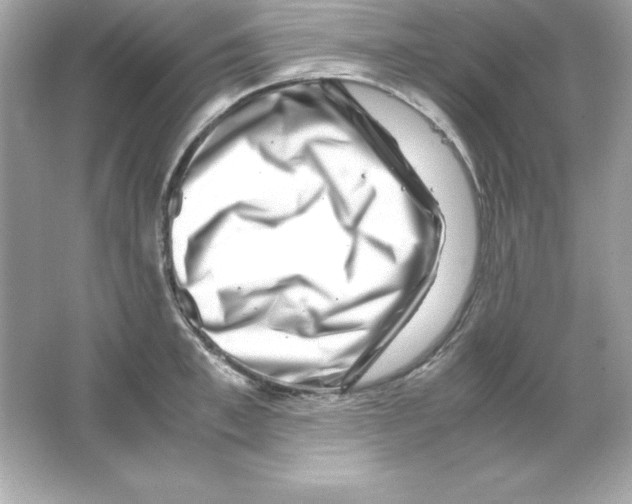 X0000065250997200603172159