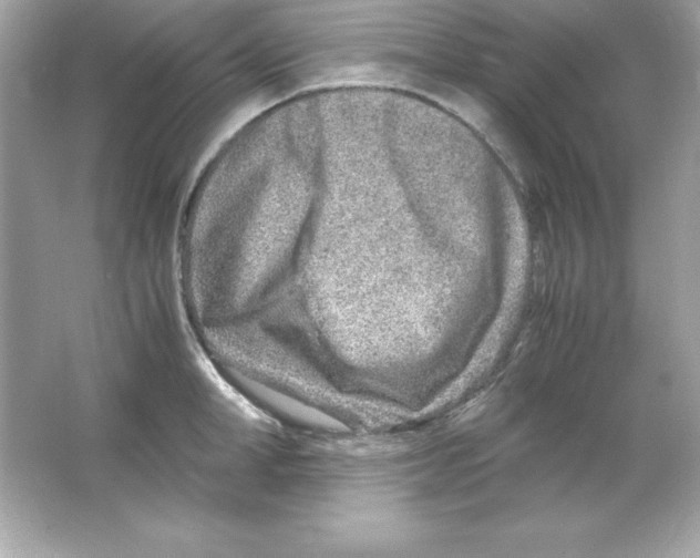 X0000065250998200603172159