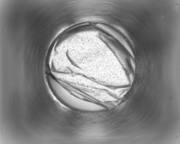 X0000065250999200603172159