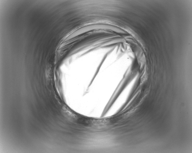 X0000065251001200603172159