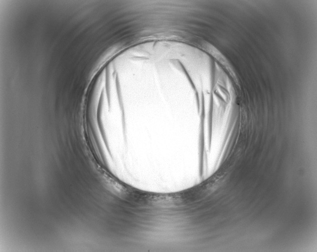 X0000065251002200603172159