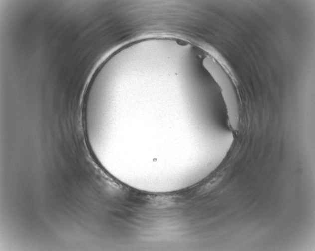 X0000065251004200603172159