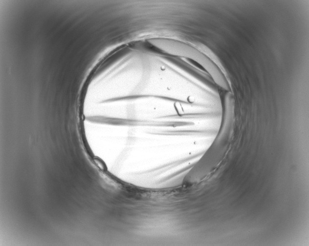 X0000065251005200603172159