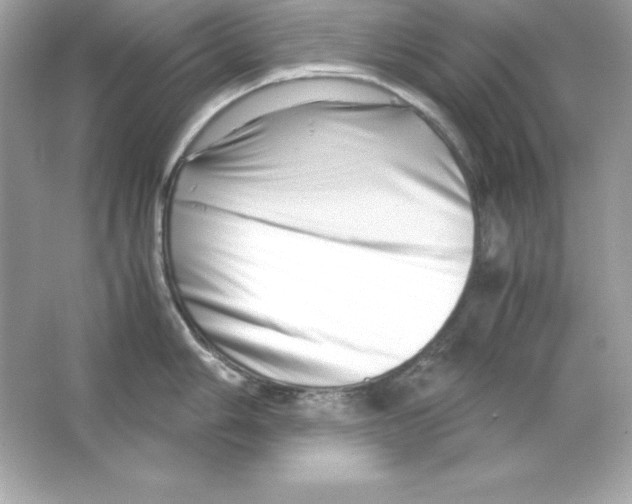 X0000065251006200603172159