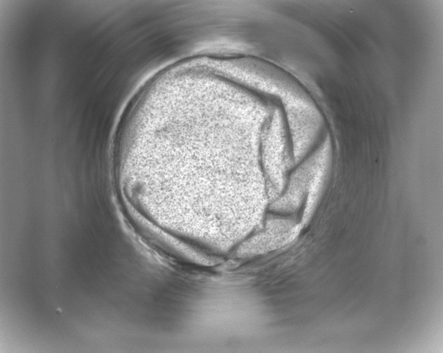 X0000065251008200603172159