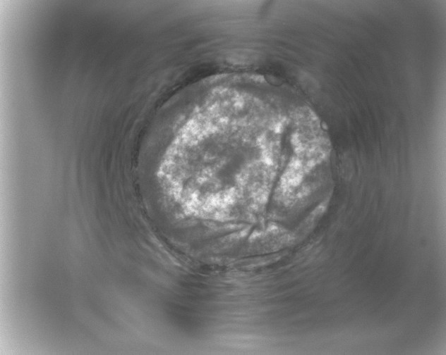 X0000065251009200603172158