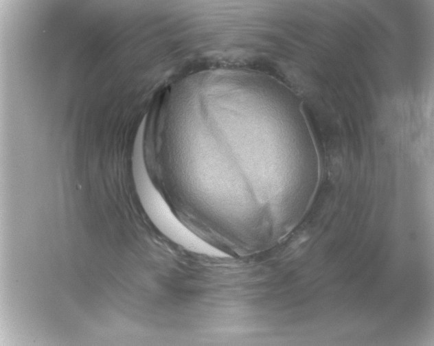 X0000065251010200603172158