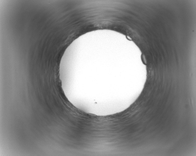 X0000065251012200603172158