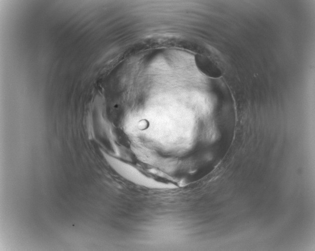 X0000065251014200603172158