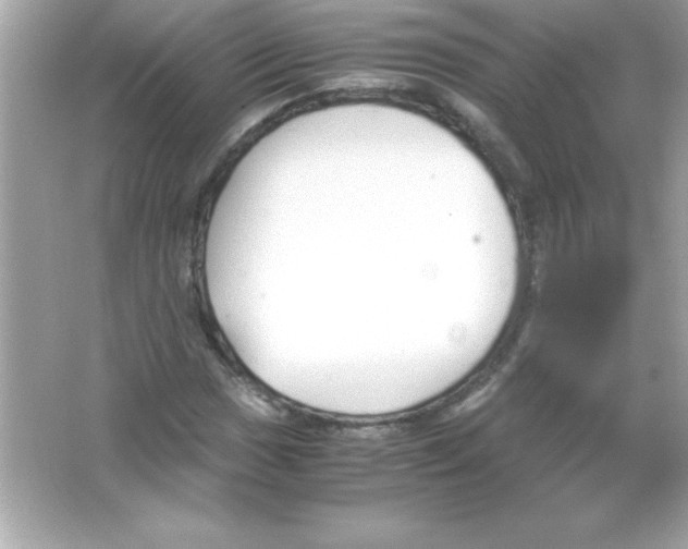 X0000065251017200603172158