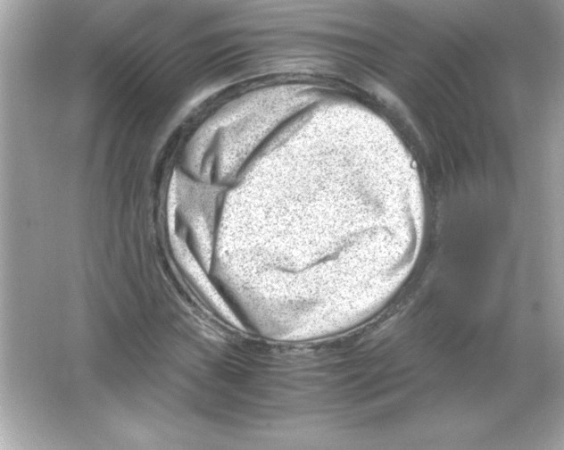 X0000065251019200603172158