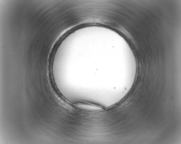 X0000065251020200603172158