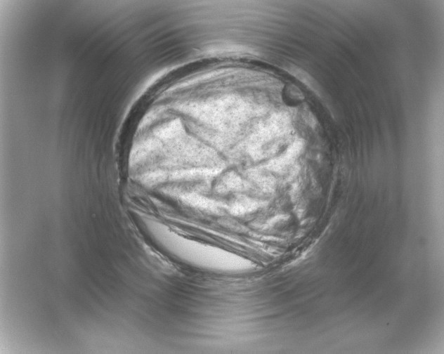 X0000065251022200603172159