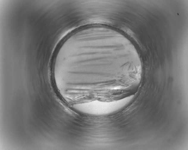 X0000065251024200603172159