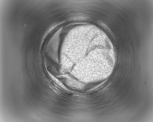 X0000065251027200603172159