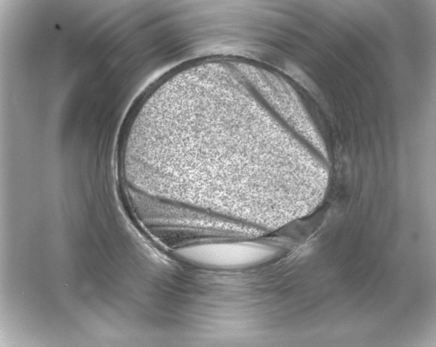 X0000065251028200603172159