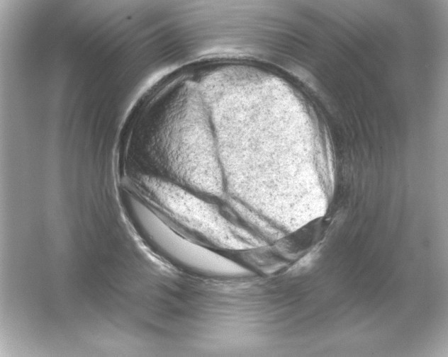 X0000065251030200603172159