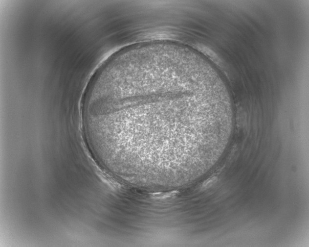 X0000065251031200603172159